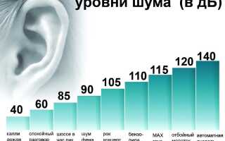ЗИПС: звукоизоляция для каркасной облицовки