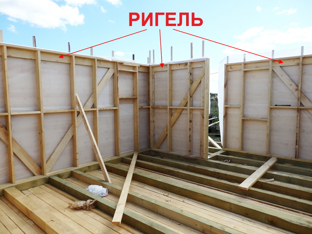 Ригель